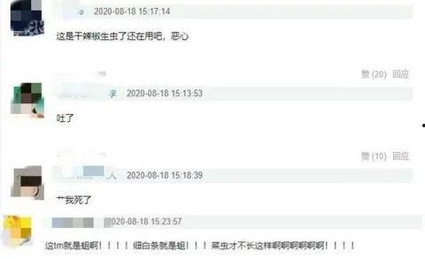李嘉琦助理爆料视频大全